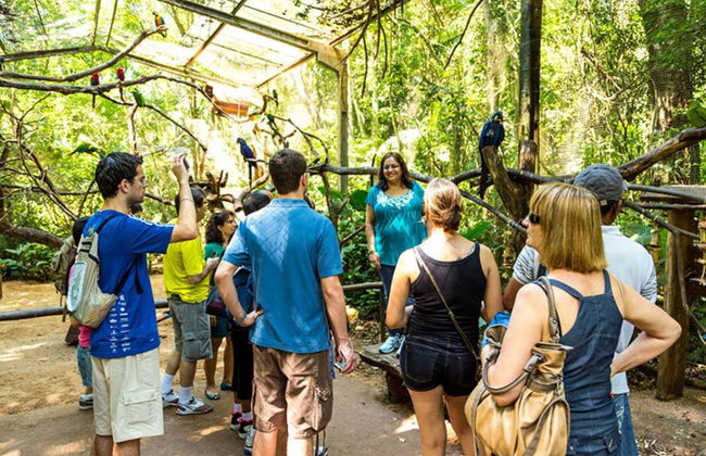 Ingresso do Parque das Aves - Foto 5